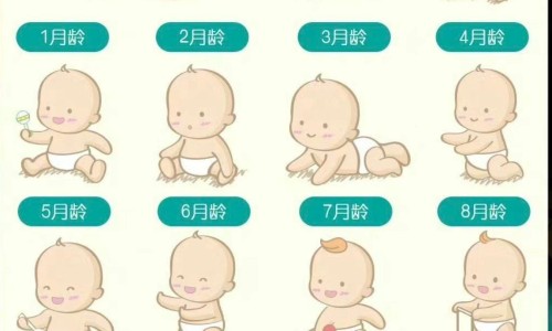 乌梅食用禁忌注意-乌梅食用禁忌网 - 为你提供乌梅吃了有什么功效、乌梅食用禁忌是什么